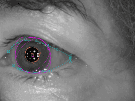 Oculomotor Task Recording