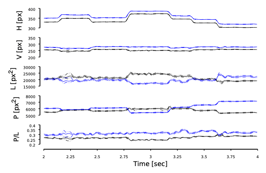 Eye Movement Recordings
