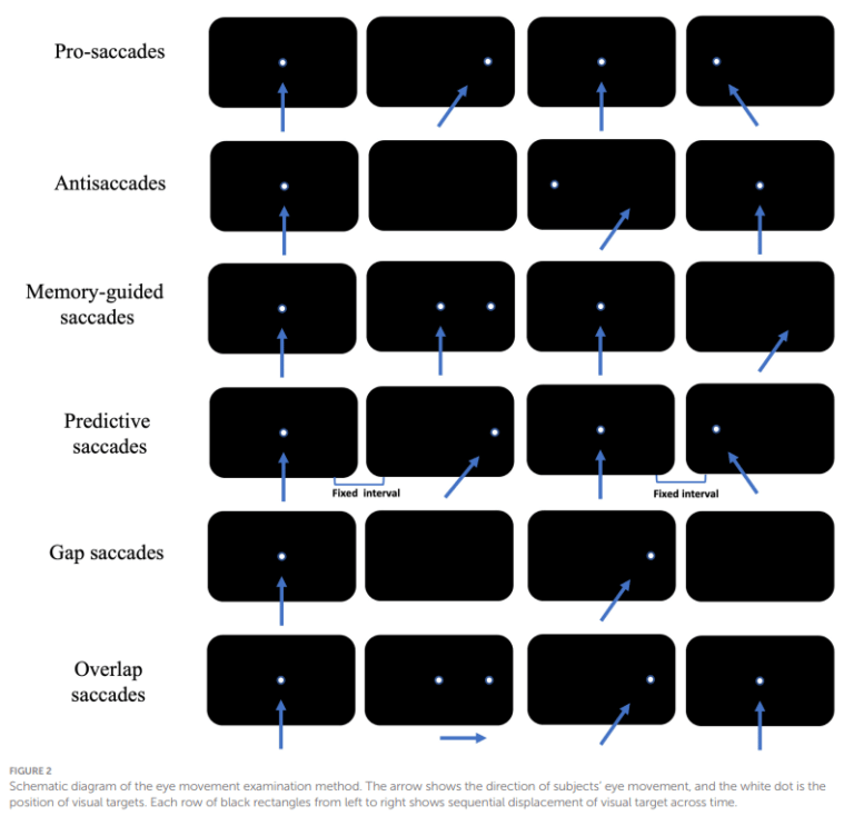 Eye Movements