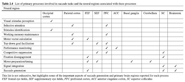 Processes involved in saccade tasks and their neural pathway Klein & Ettinger (2019)