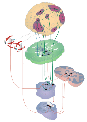 schema_vectorise_color 1 (1)