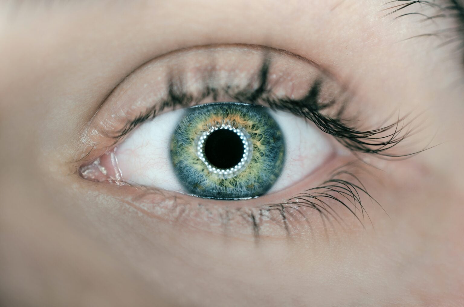 Close-up of a human eye 