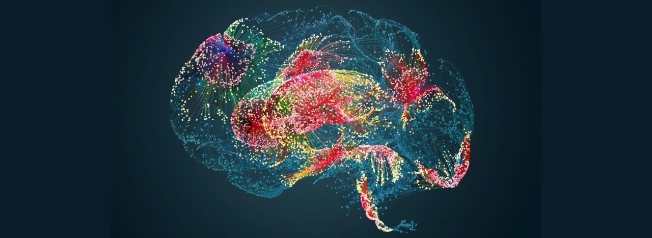 Brain, neurons connected