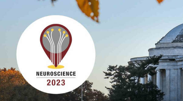 neuroClues at SFN 2023 
